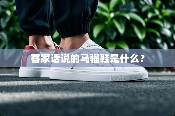 客家话说的马骝鞋是什么？