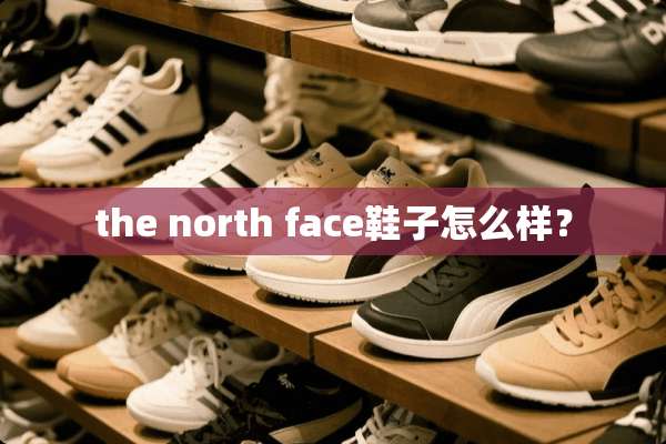 the north face鞋子怎么样？
