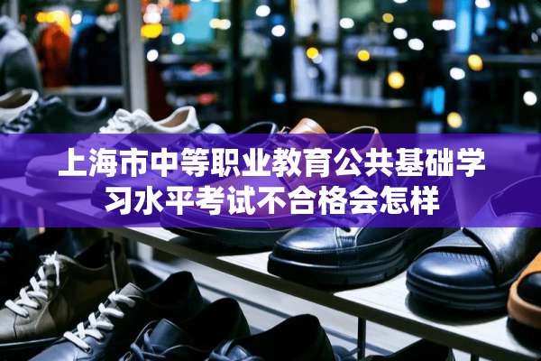 上海市中等职业教育公共基础学习水平考试不合格会怎样
