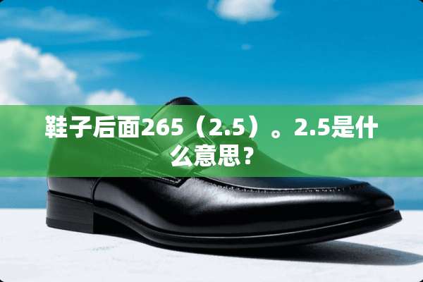 鞋子后面265（2.5）。2.5是什么意思？