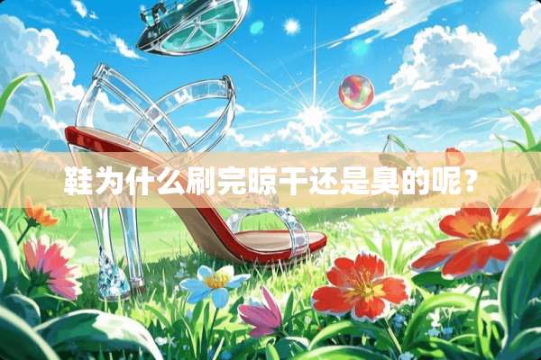 鞋为什么刷完晾干还是臭的呢？