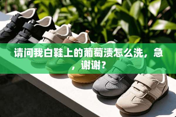 请问我白鞋上的葡萄渍怎么洗，急，谢谢？