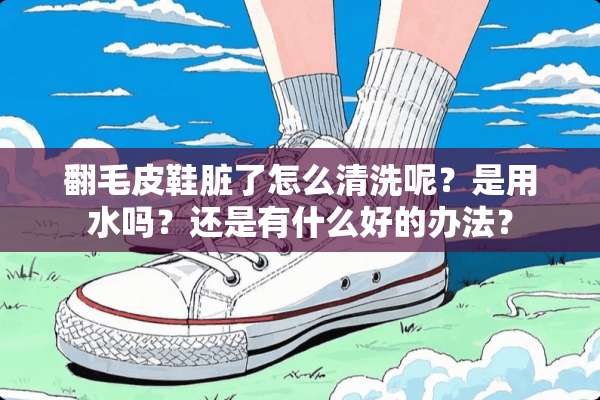 翻毛皮鞋脏了怎么清洗呢？是用水吗？还是有什么好的办法？