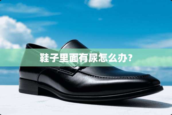鞋子里面有尿怎么办？