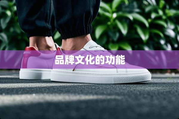 品牌文化的功能