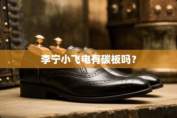 李宁小飞电有碳板吗？