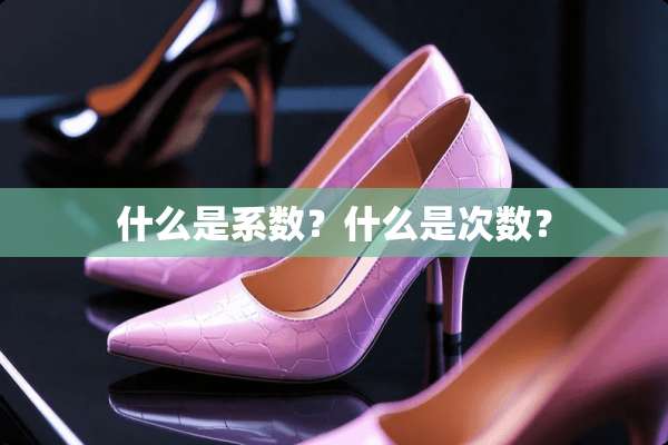什么是系数？什么是次数？