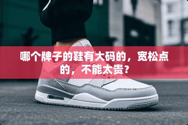 哪个牌子的鞋有大码的，宽松点的，不能太贵？