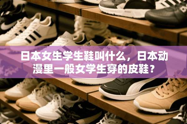 日本女生学生鞋叫什么，日本动漫里一般女学生穿的皮鞋？