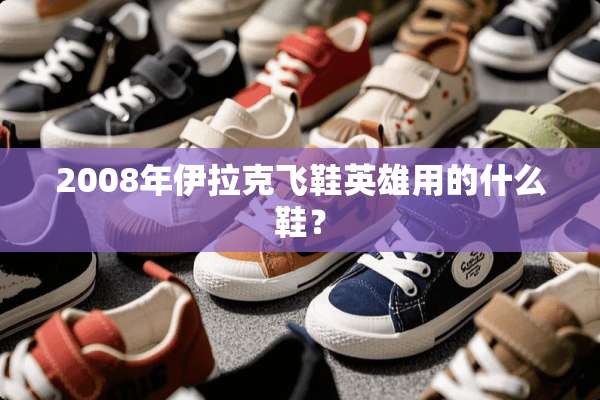 2008年伊拉克飞鞋英雄用的什么鞋？