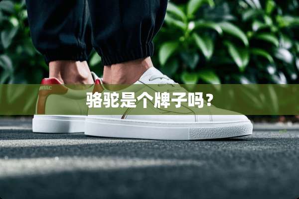 骆驼是个牌子吗？