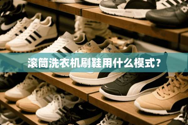 滚筒洗衣机刷鞋用什么模式？