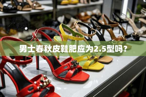 男士春秋皮鞋肥应为2.5型吗？