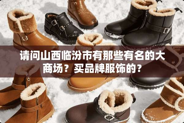 请问山西临汾市有那些有名的大商场？买品牌服饰的？