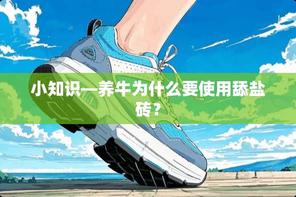 小知识—养牛为什么要使用舔盐砖？