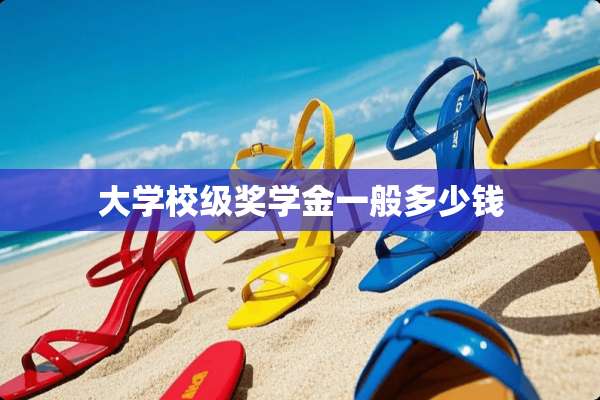 大学校级奖学金一般多少钱