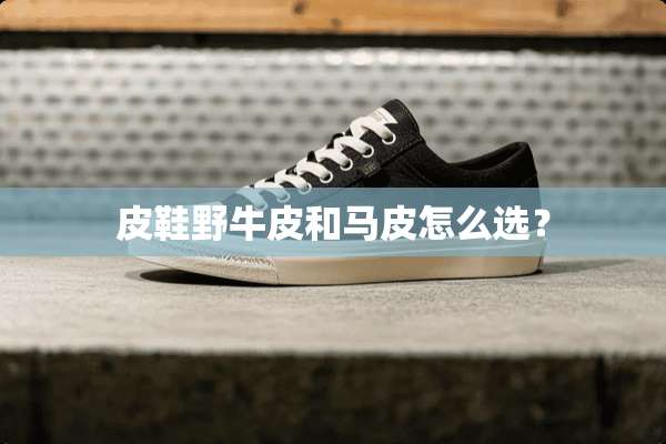 皮鞋野牛皮和马皮怎么选？