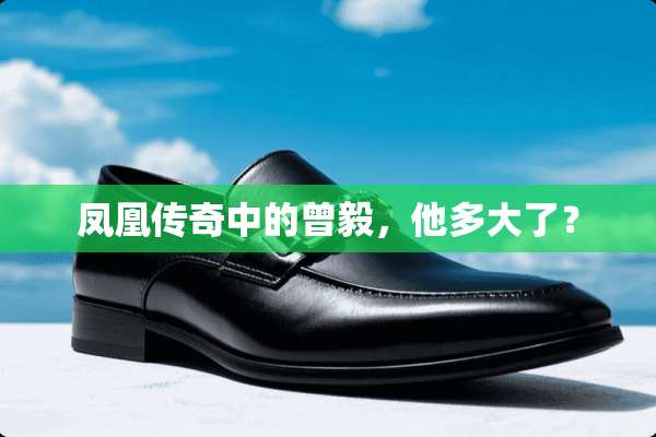 凤凰传奇中的曾毅，他多大了？