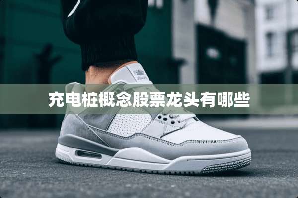 充电桩概念股票龙头有哪些