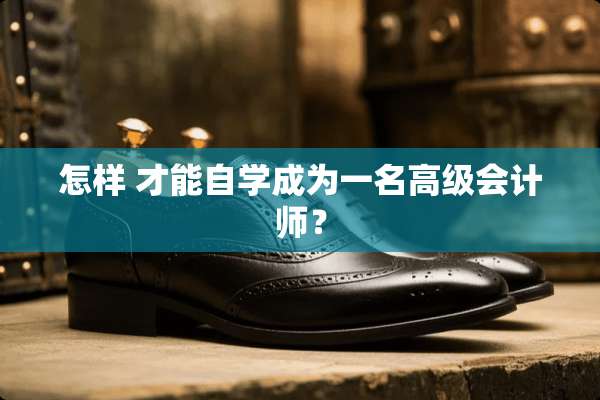 怎样 才能自学成为一名高级会计师？