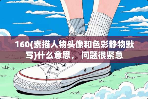 160(素描人物头像和色彩静物默写)什么意思， 问题很紧急