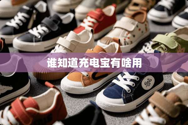 谁知道充电宝有啥用