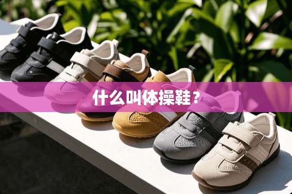 什么叫体操鞋？