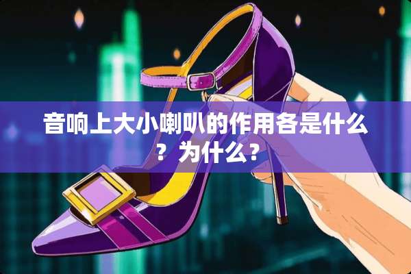 音响上大小喇叭的作用各是什么？为什么？