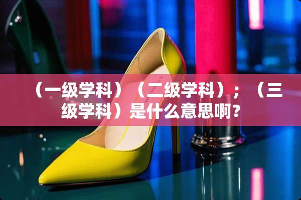 （一级学科）（二级学科）；（**学科）是什么意思啊？
