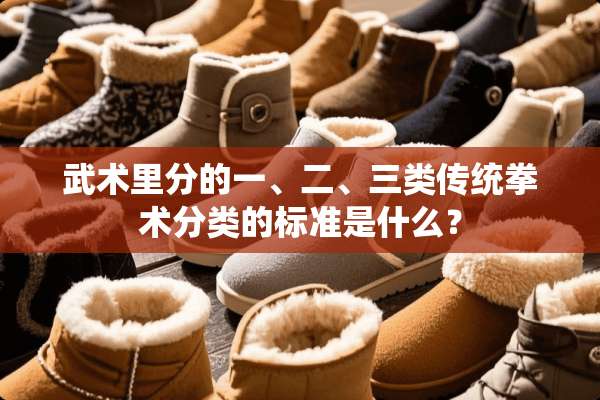 武术里分的一、二、三类传统拳术分类的标准是什么？