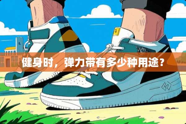 健身时，弹力带有多少种用途？