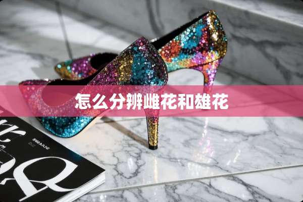 怎么分辨雌花和雄花