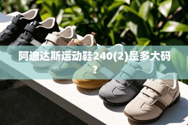 阿迪达斯运动鞋240(2)是多大码？