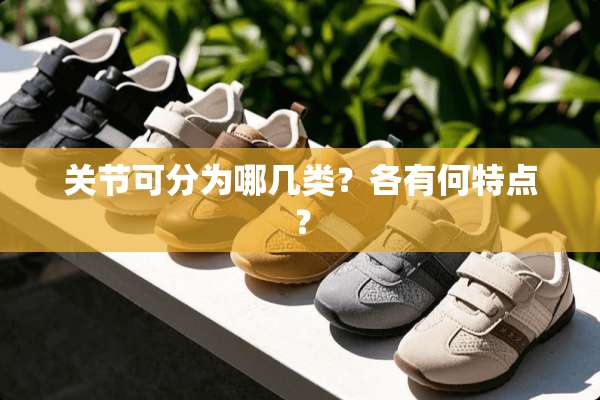关节可分为哪几类？各有何特点？