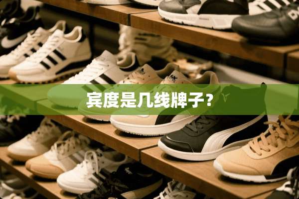 宾度是几线牌子？