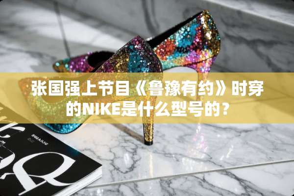 张国强上节目《鲁豫有约》时穿的NIKE是什么型号的？