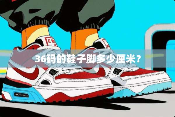 36码的鞋子脚多少厘米？