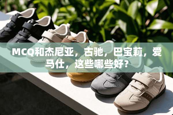 MCQ和杰尼亚，古驰，巴宝莉，爱马仕，这些哪些好？