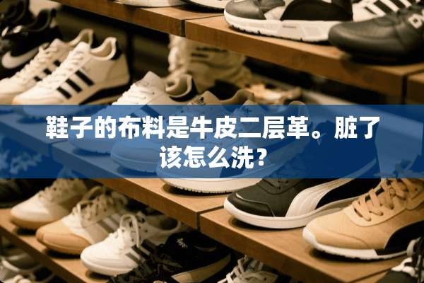 鞋子的布料是牛皮二层革。脏了该怎么洗？