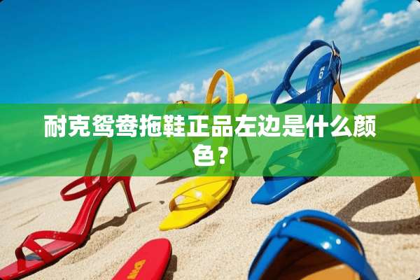 耐克鸳鸯拖鞋正品左边是什么颜色？