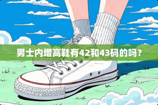 男士内增高鞋有42和43码的吗？