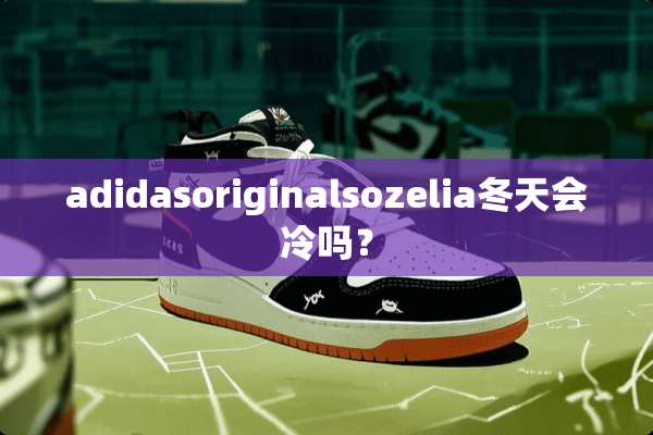 adidasoriginalsozelia冬天会冷吗？