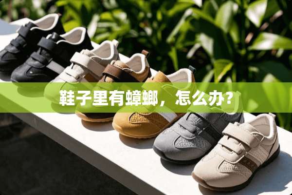 鞋子里有蟑螂，怎么办？