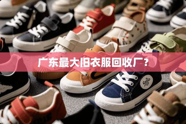 广东最大旧衣服回收厂？