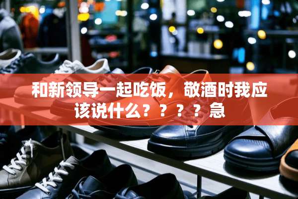 和新领导一起吃饭，敬酒时我应该说什么？？？？急