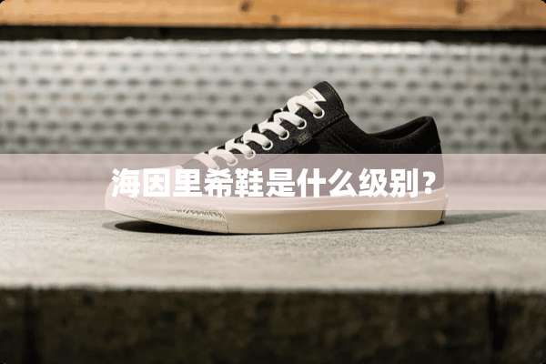 海因里希鞋是什么级别？