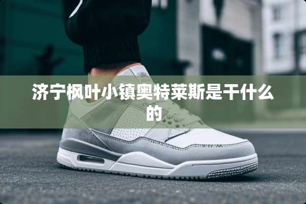 济宁枫叶小镇奥特莱斯是干什么的