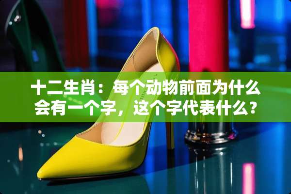 十二生肖：每个动物前面为什么会有一个字，这个字代表什么？