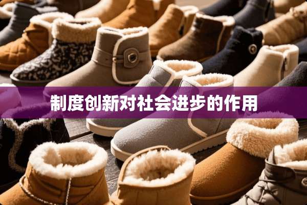 制度创新对社会进步的作用