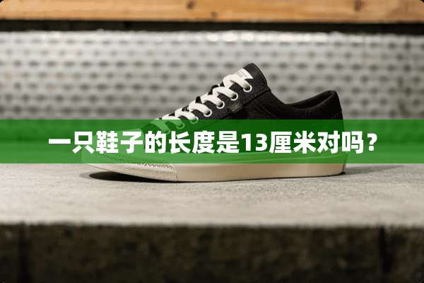 一只鞋子的长度是13厘米对吗？